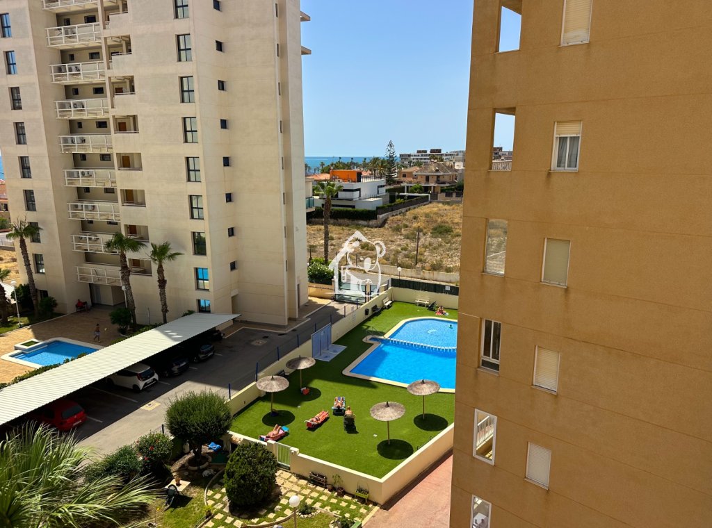 Rental - Apartment / flat - Torrevieja - El Acequión - Los Náufragos
