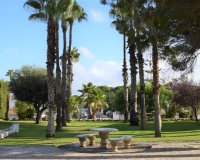 Rental - Apartment / flat - Torrevieja - Los Balcones - Los Altos del Edén