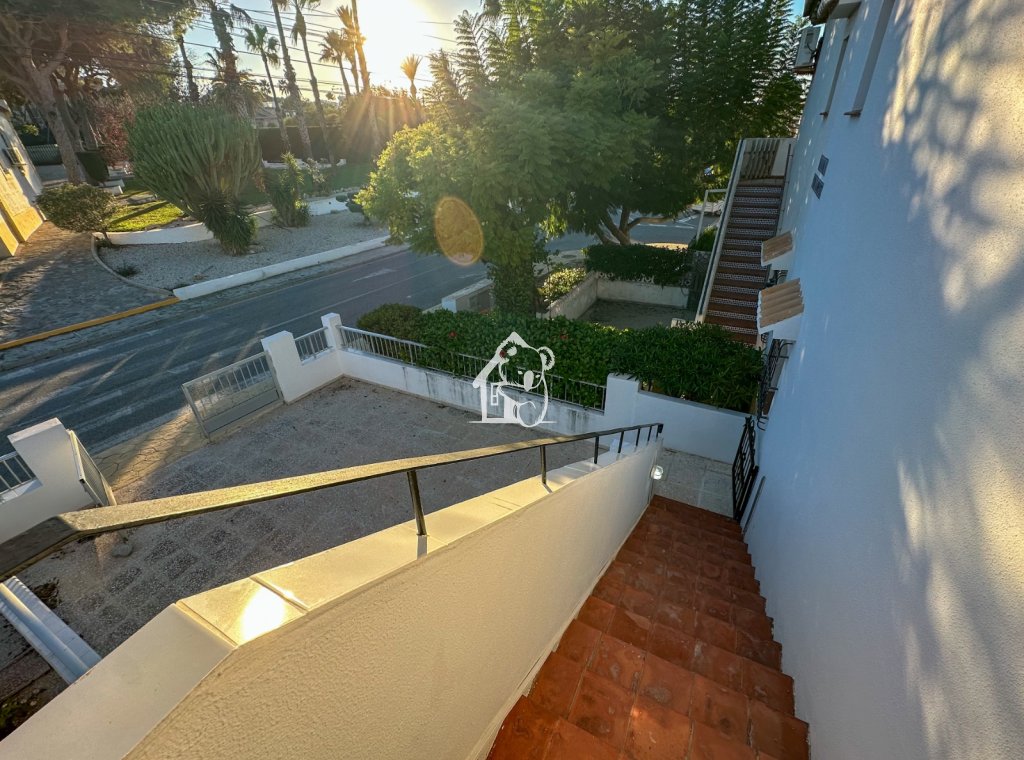 Rental - Apartment / flat - Torrevieja - Los Balcones - Los Altos del Edén