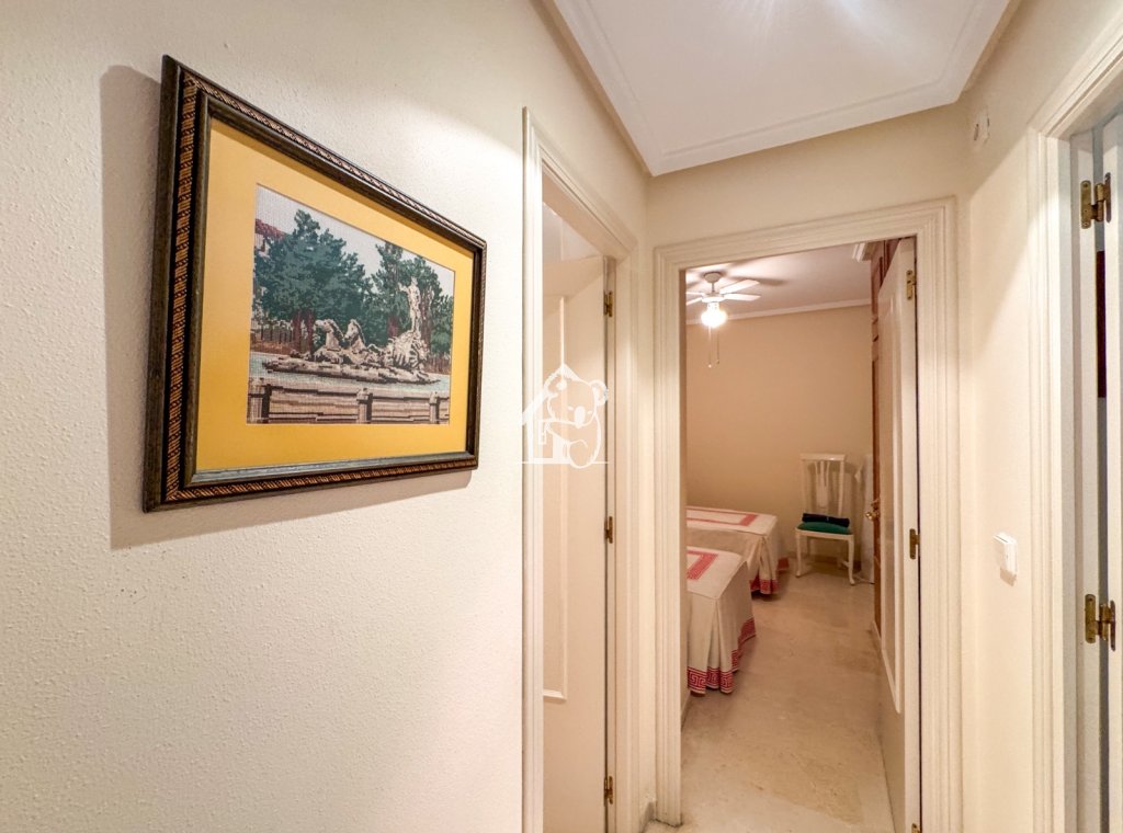 Rental - Apartment / flat - Torrevieja - Playa de los Locos