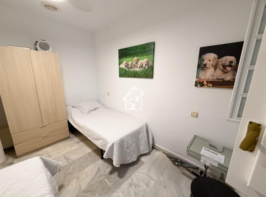 Rental - Apartment / flat - Torrevieja - Playa de los Locos