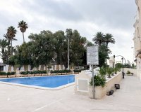 Rental - Apartment / flat - Torrevieja - Playa de los Locos