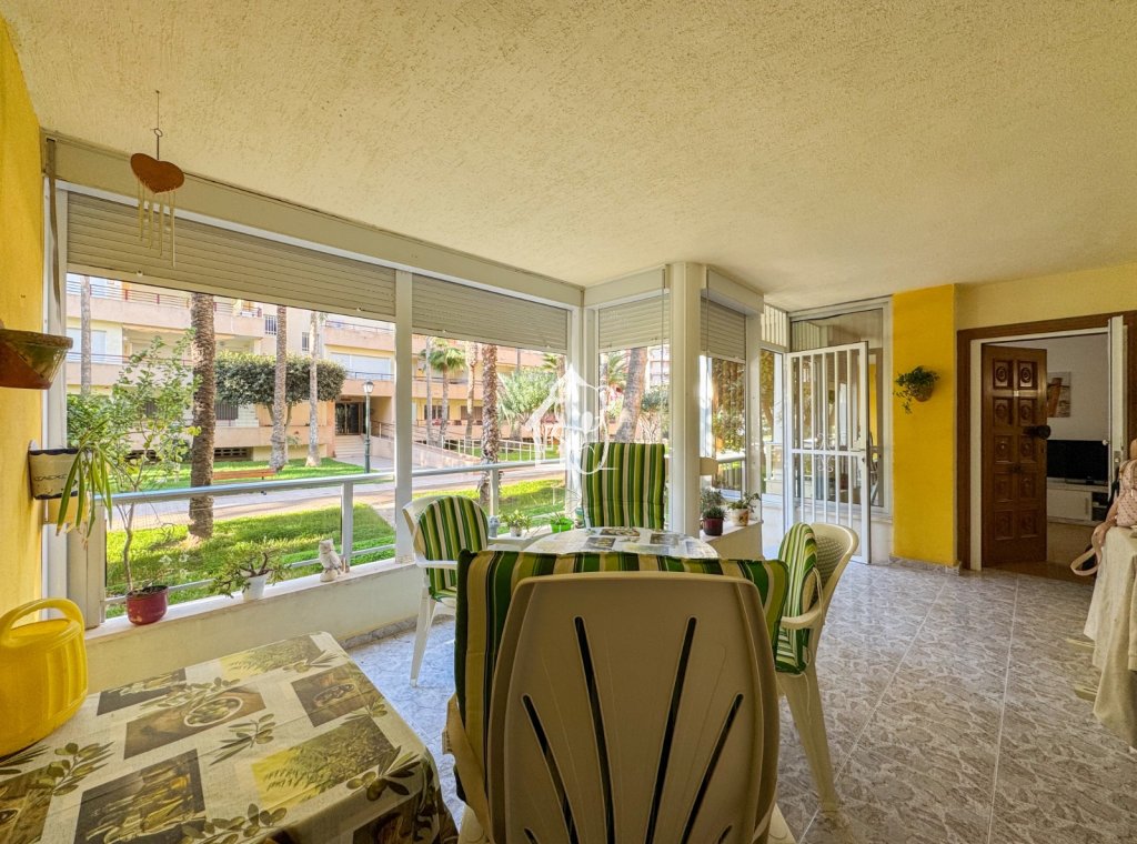 Rental - Apartment / flat - Torrevieja - Playa de los Locos