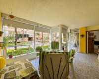 Rental - Apartment / flat - Torrevieja - Playa de los Locos