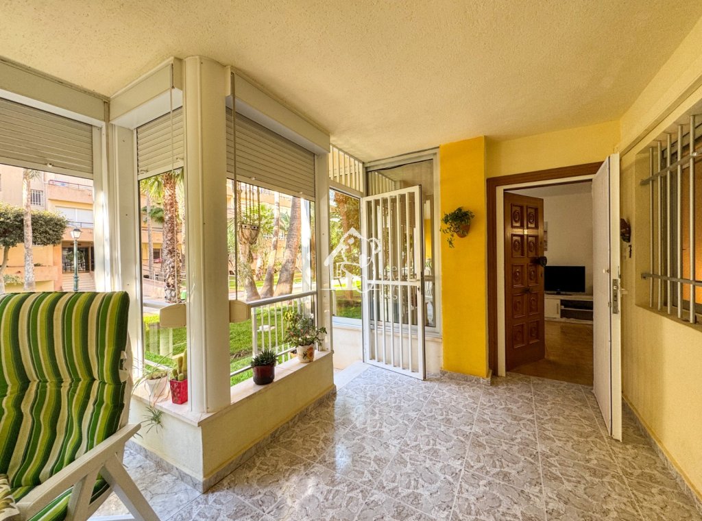 Rental - Apartment / flat - Torrevieja - Playa de los Locos