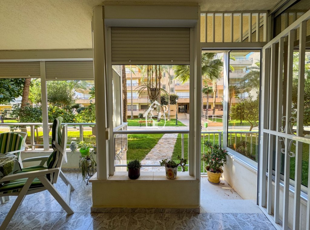 Rental - Apartment / flat - Torrevieja - Playa de los Locos