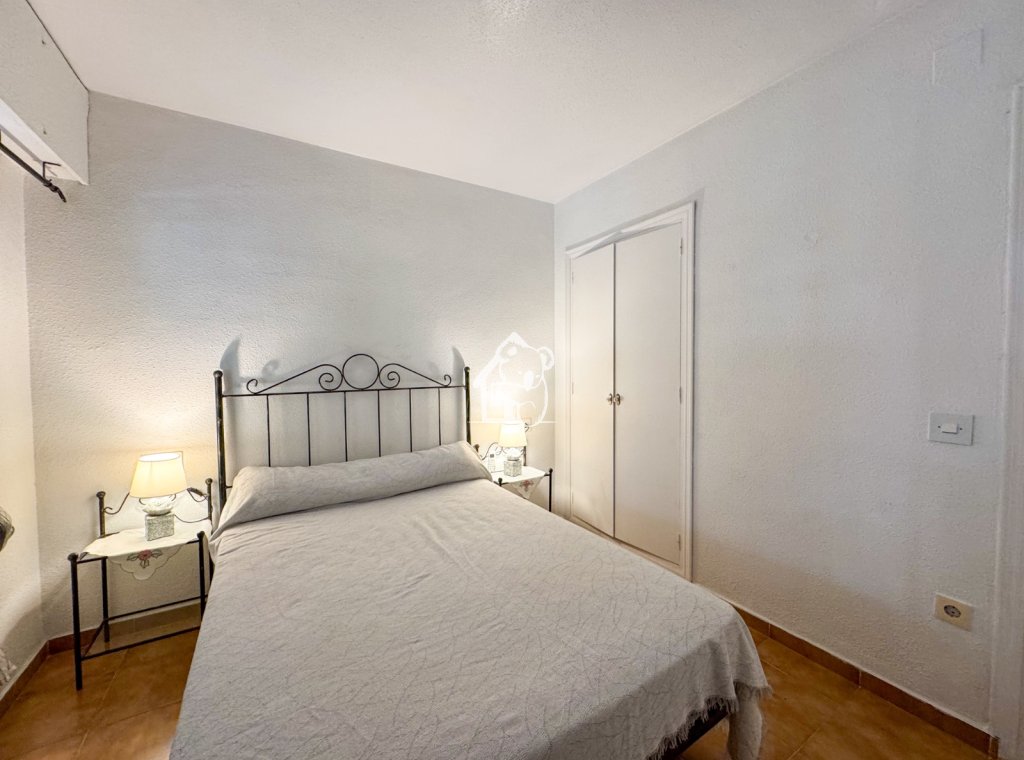 Rental - Apartment / flat - Torrevieja - Playa de los Locos