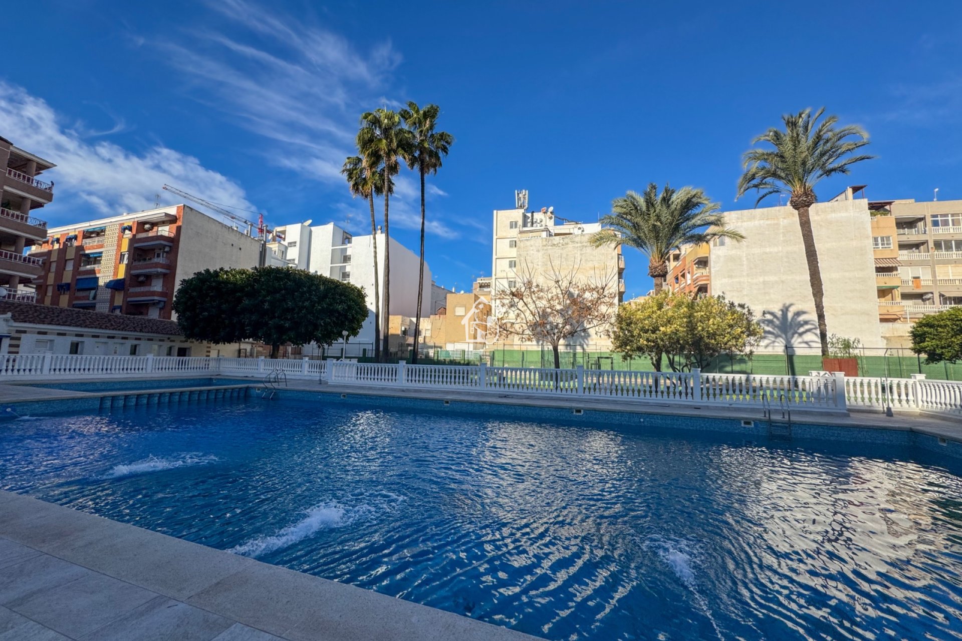 Rental - Apartment / flat - Torrevieja - Playa de los Locos