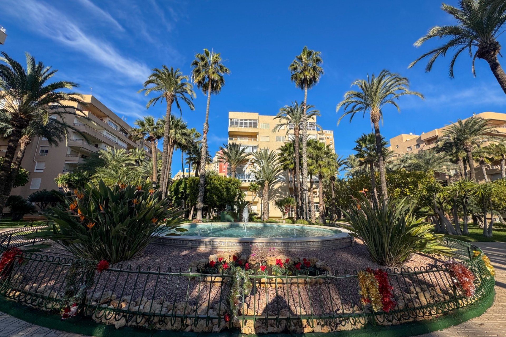 Rental - Apartment / flat - Torrevieja - Playa de los Locos