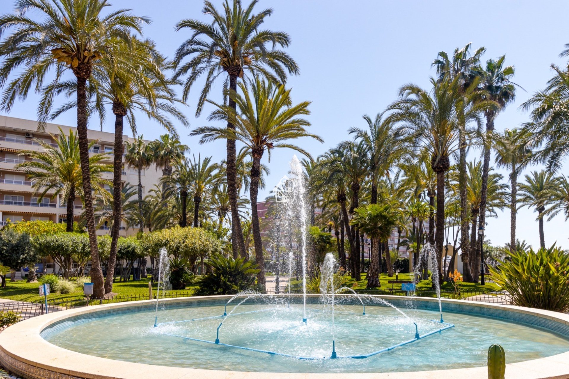 Rental - Apartment / flat - Torrevieja - Playa de los Locos