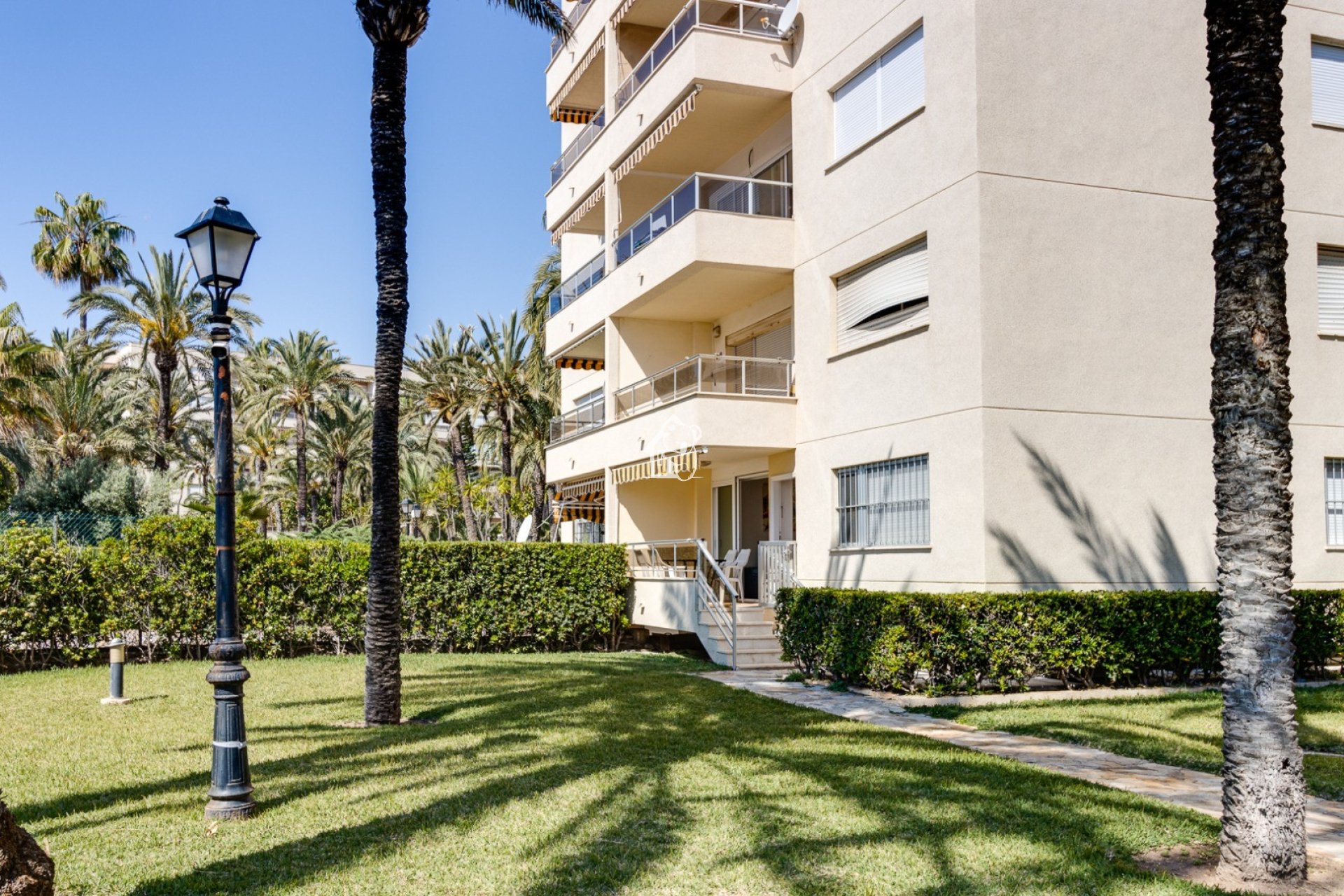 Rental - Apartment / flat - Torrevieja - Playa de los Locos