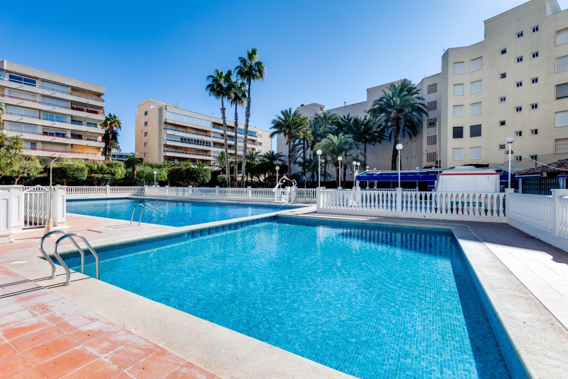 Rental - Apartment / flat - Torrevieja - Playa de los Locos