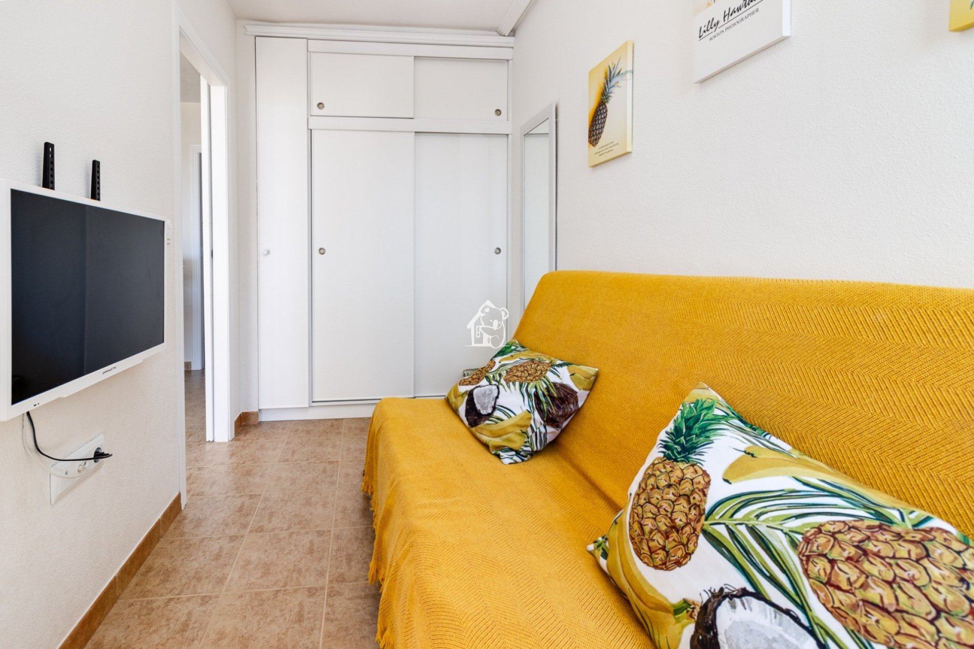 Rental - Apartment / flat - Torrevieja - Playa de los Locos