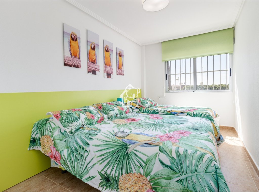 Rental - Apartment / flat - Torrevieja - Playa de los Locos