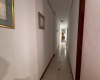Rental - Apartment / flat - Torrevieja - Playa de los Locos