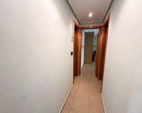 Rental - Apartment / flat - Torrevieja - Playa del Cura