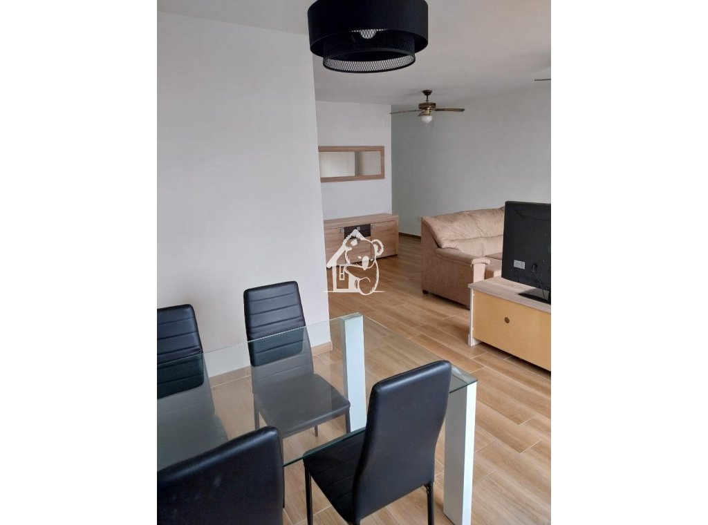 Rental - Apartment / flat - Torrevieja - Playa del Cura