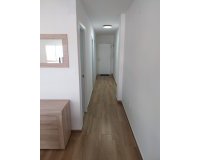 Rental - Apartment / flat - Torrevieja - Playa del Cura
