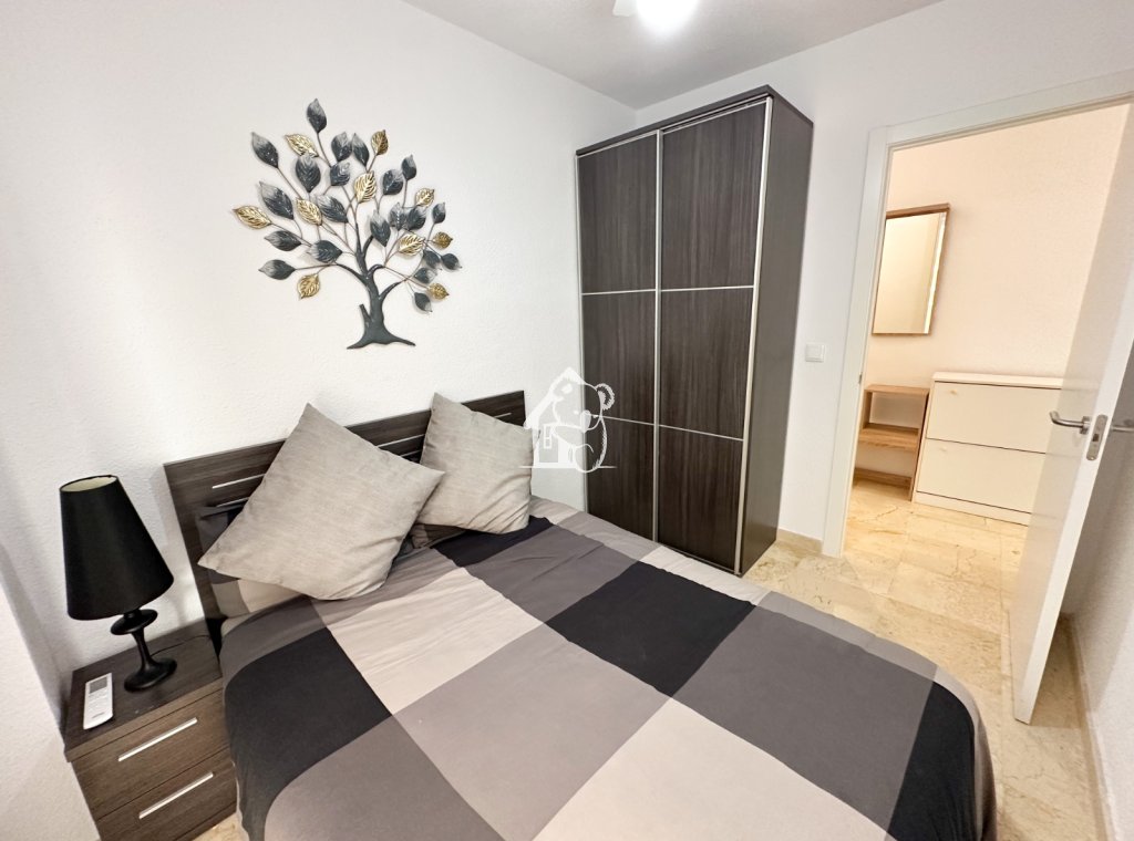 Rental - Apartment / flat - Torrevieja - Playa del Cura