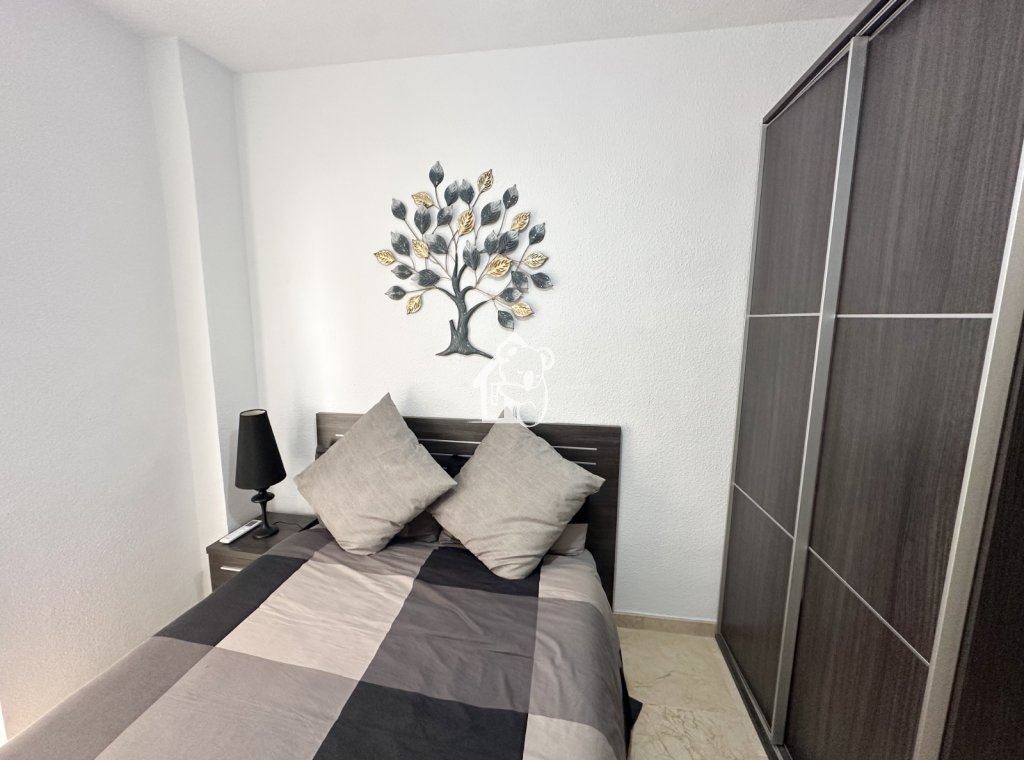 Rental - Apartment / flat - Torrevieja - Playa del Cura