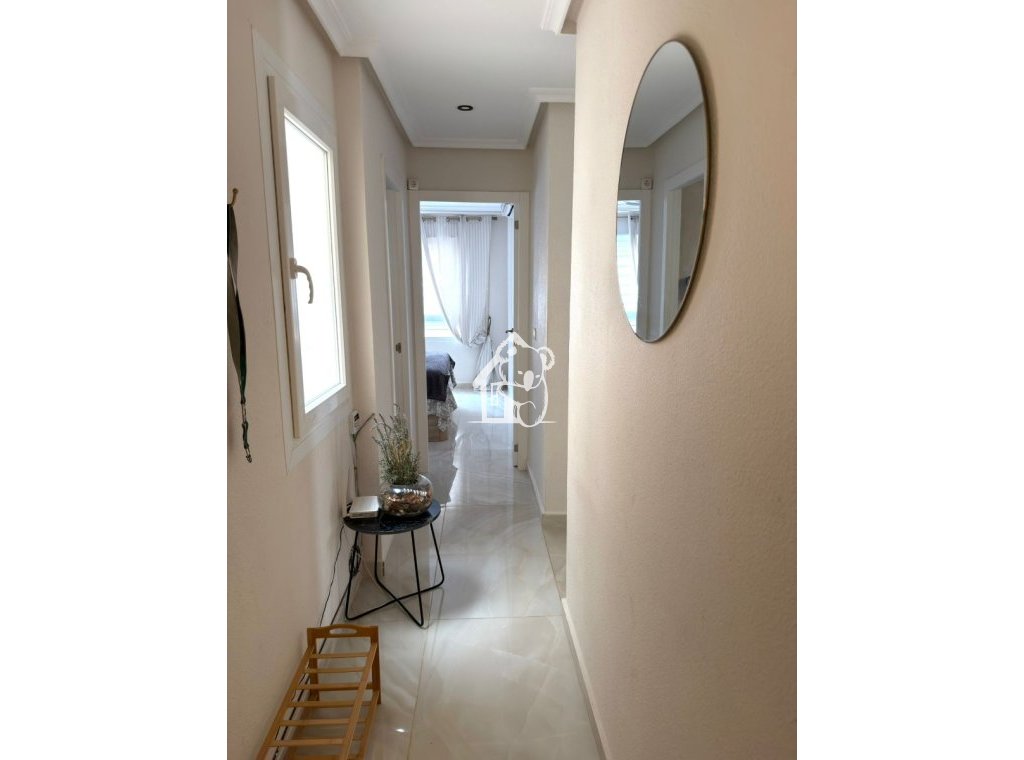 Rental - Apartment / flat - Torrevieja - Playa del Cura