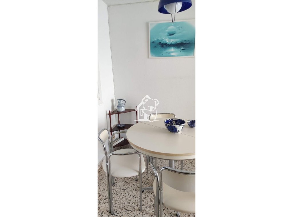 Rental - Apartment / flat - Torrevieja - Playa del Cura