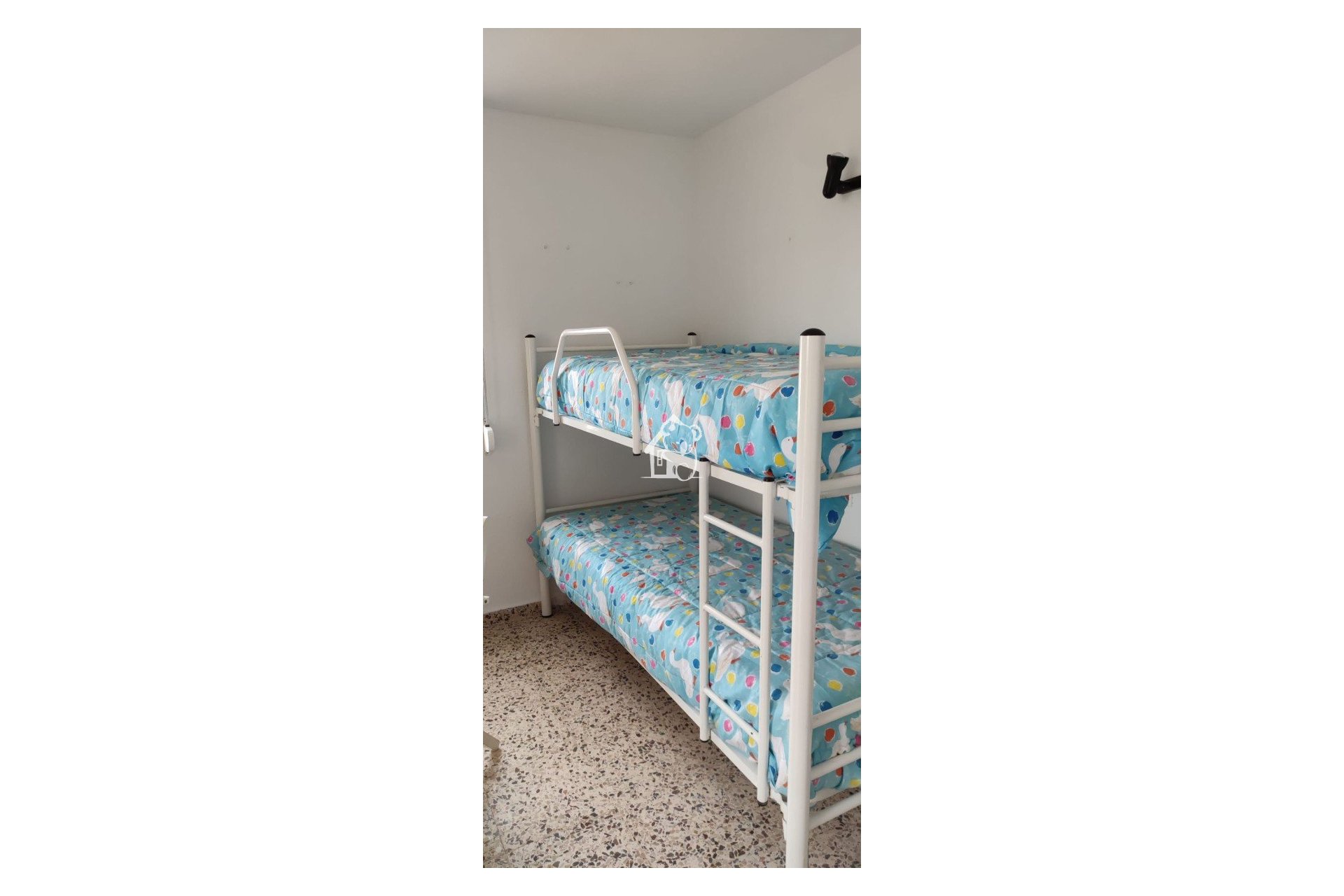 Rental - Apartment / flat - Torrevieja - Playa del Cura