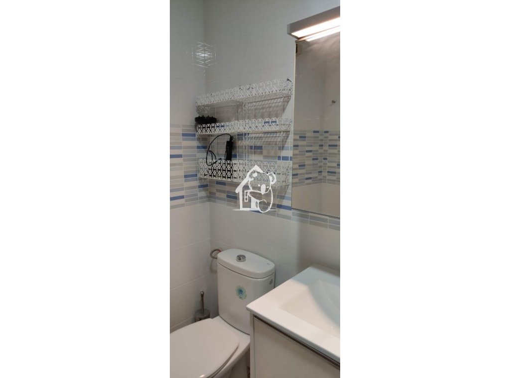 Rental - Apartment / flat - Torrevieja - Playa del Cura