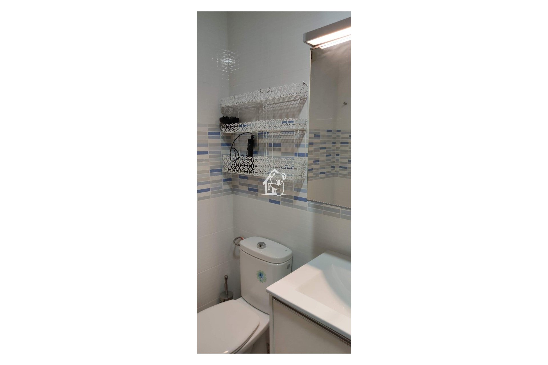 Rental - Apartment / flat - Torrevieja - Playa del Cura