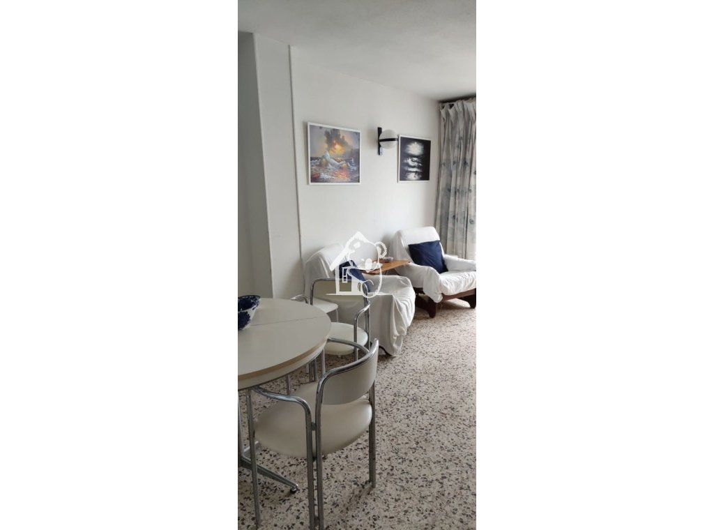Rental - Apartment / flat - Torrevieja - Playa del Cura