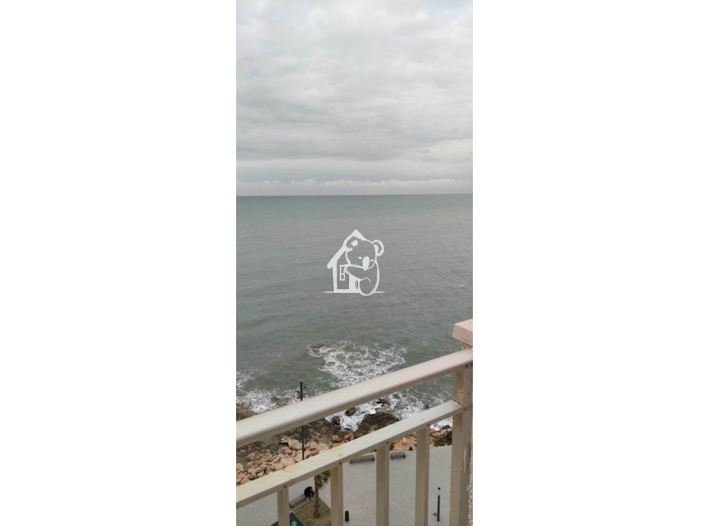 Rental - Apartment / flat - Torrevieja - Playa del Cura