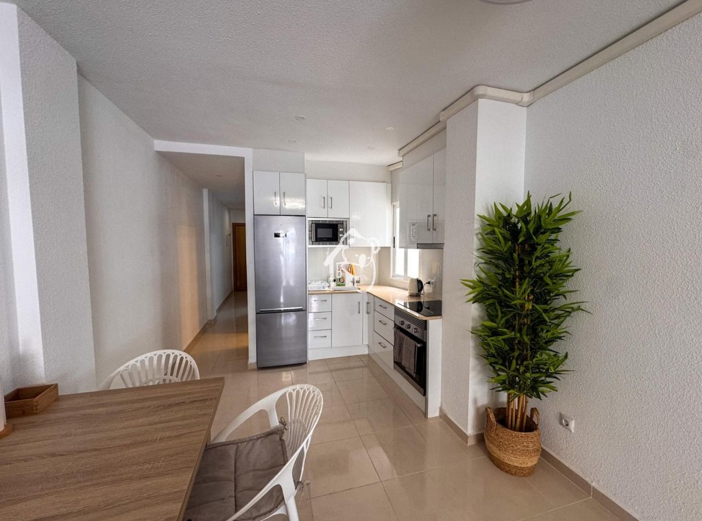 Rental - Apartment / flat - Torrevieja - Playa del Cura
