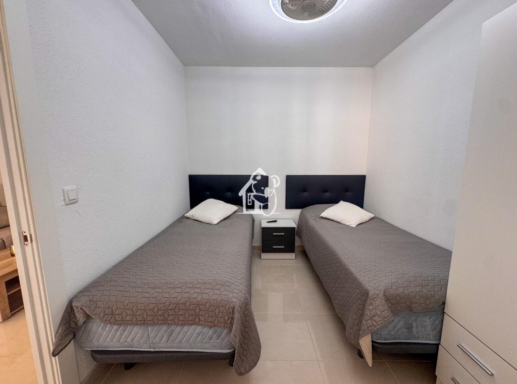 Rental - Apartment / flat - Torrevieja - Playa del Cura
