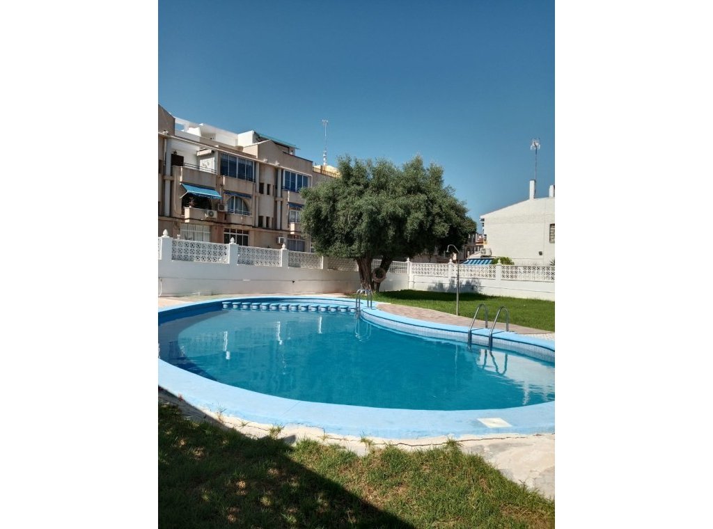 Rental - Apartment / flat - Torrevieja - Playa del Cura