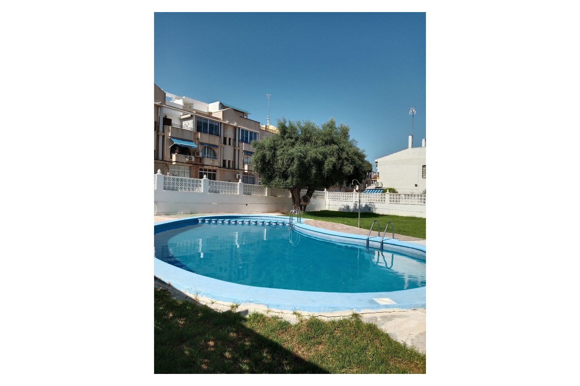 Rental - Apartment / flat - Torrevieja - Playa del Cura