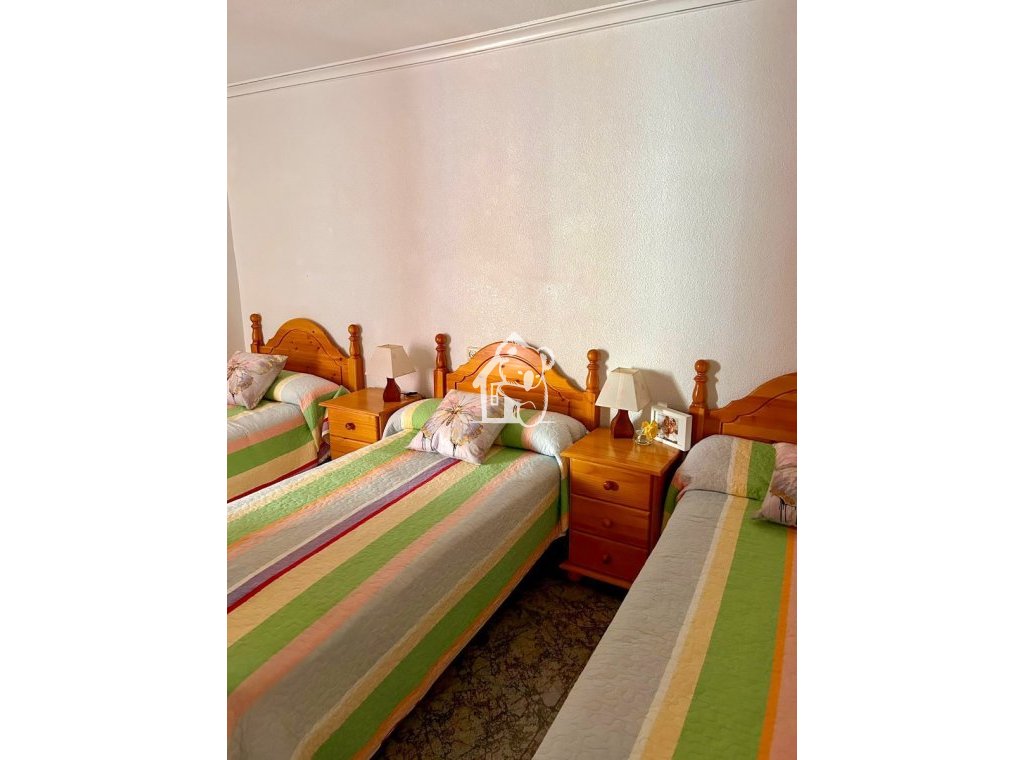 Rental - Apartment / flat - Torrevieja - Playa del Cura