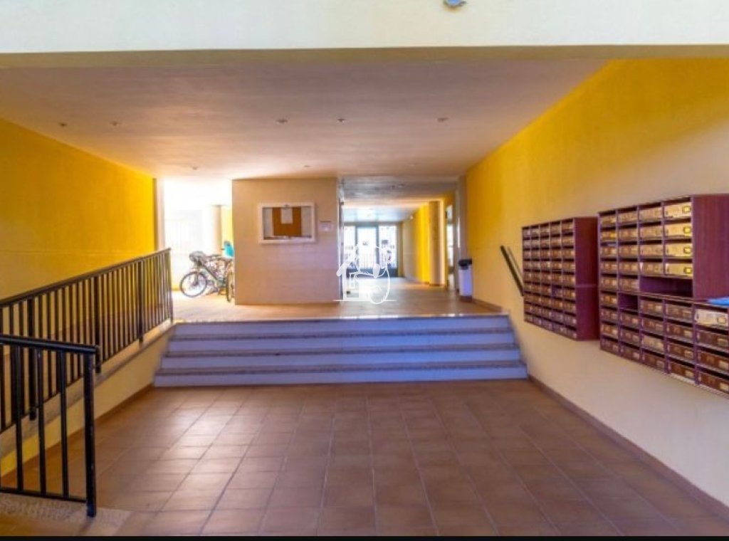 Rental - Apartment / flat - Torrevieja - Torrelamata - La Mata