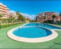 Rental - Apartment / flat - Torrevieja - Torrelamata - La Mata