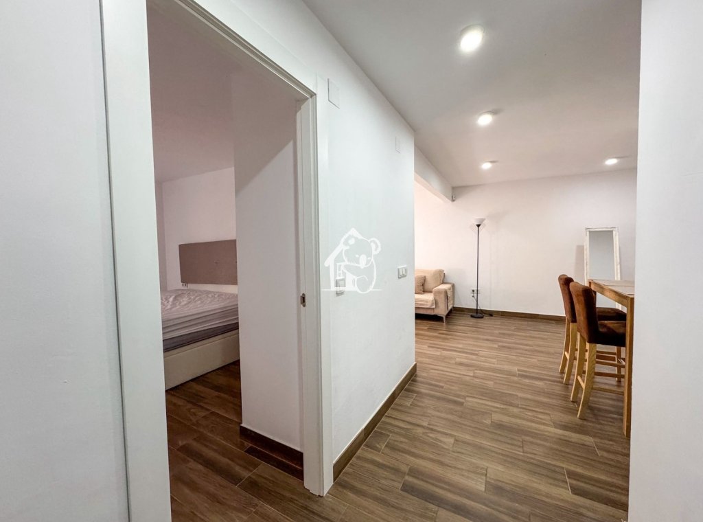 Rental - Apartment / flat - Torrevieja - Torrevieja Centro