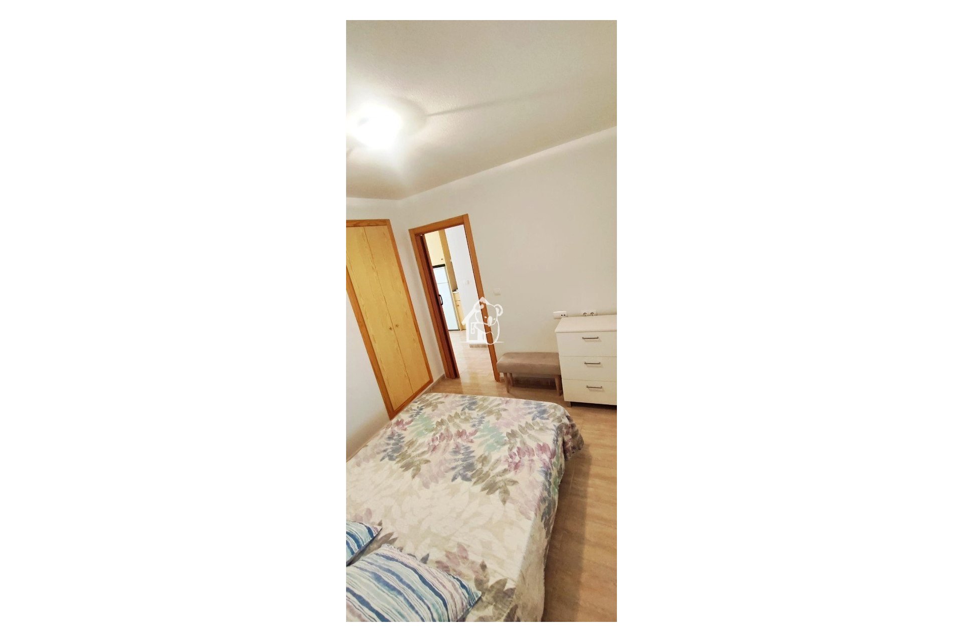 Rental - Apartment / flat - Torrevieja - Torrevieja Centro