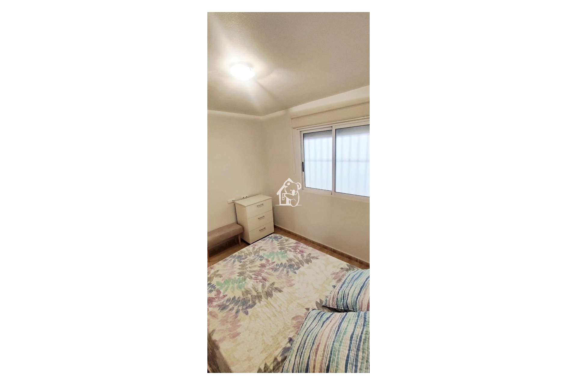 Rental - Apartment / flat - Torrevieja - Torrevieja Centro