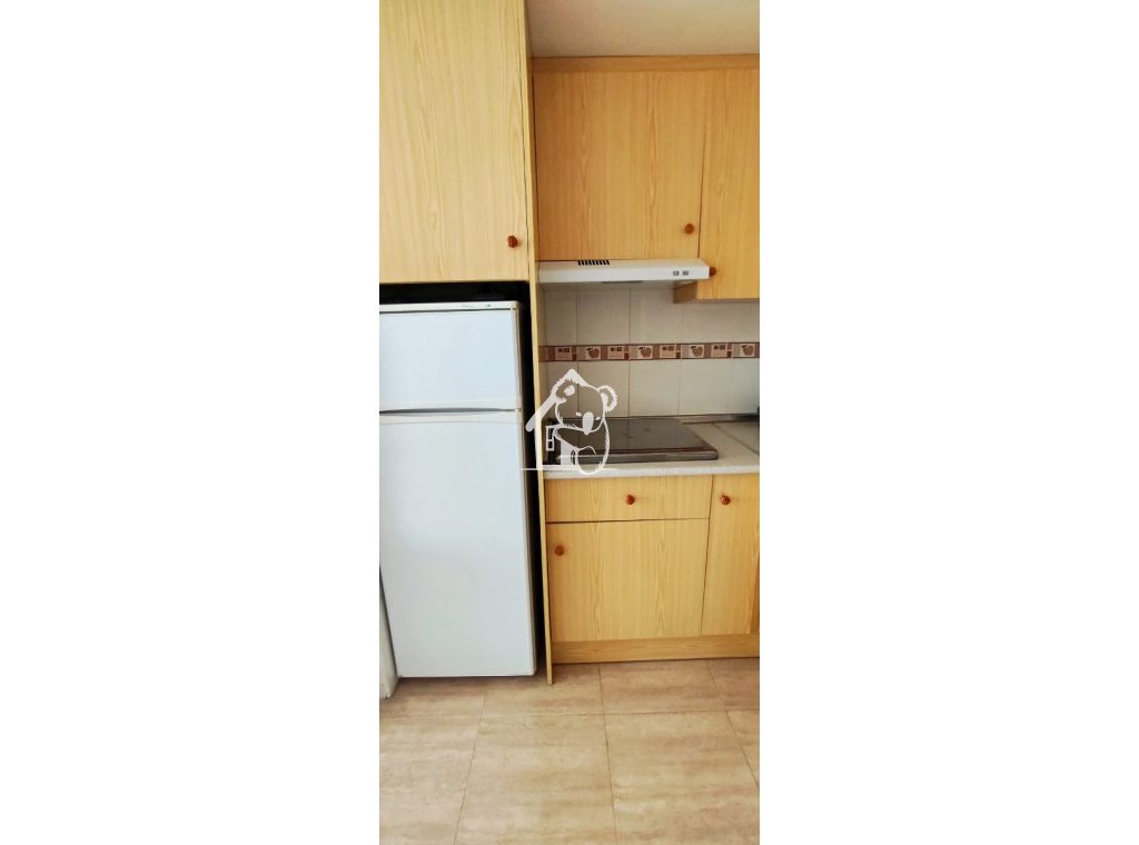 Rental - Apartment / flat - Torrevieja - Torrevieja Centro