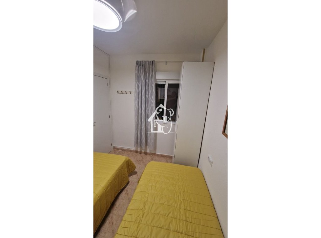 Rental - Apartment / flat - Torrevieja - Torrevieja Centro