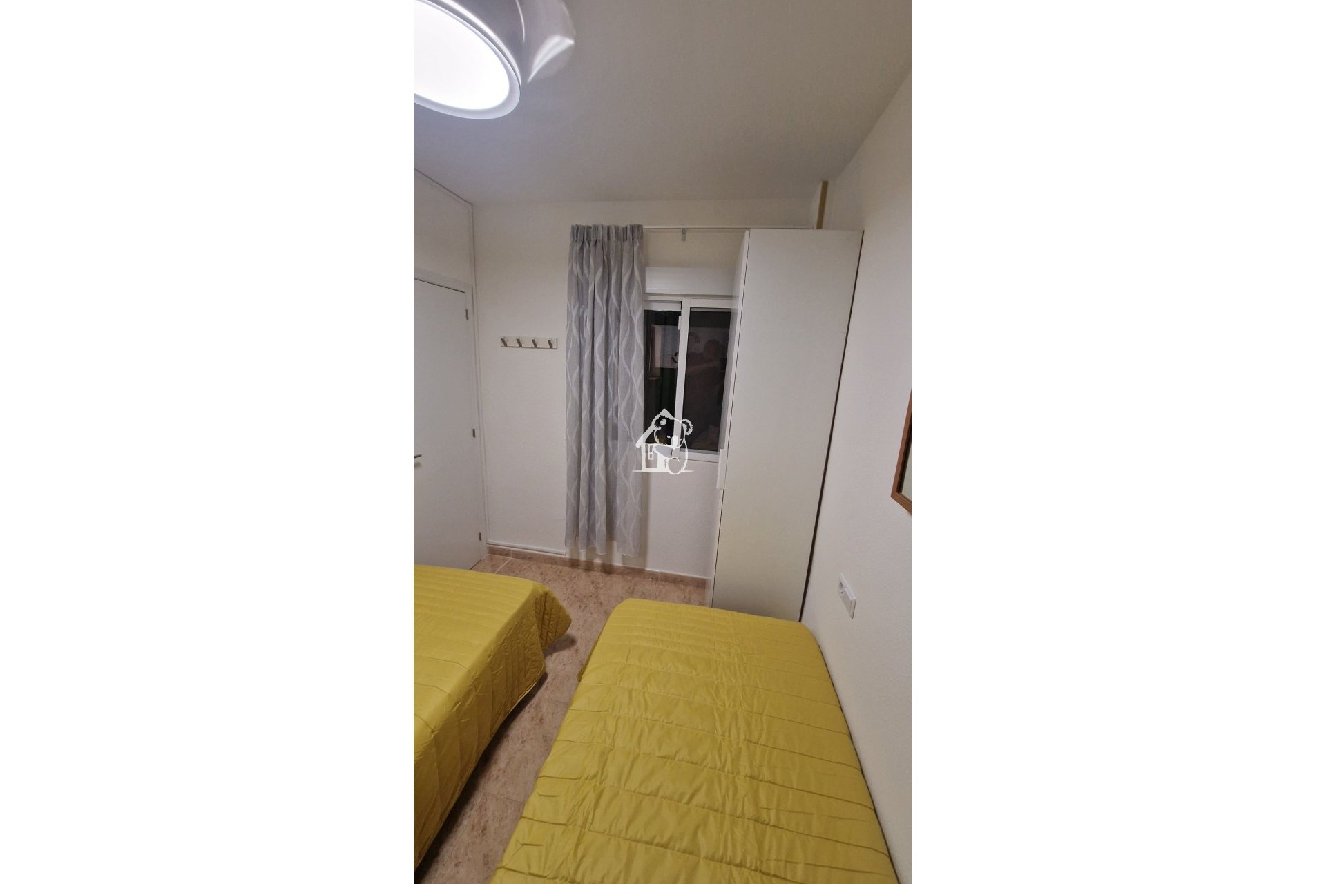 Rental - Apartment / flat - Torrevieja - Torrevieja Centro