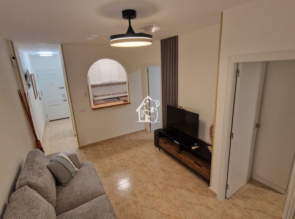 Rental - Apartment / flat - Torrevieja - Torrevieja Centro