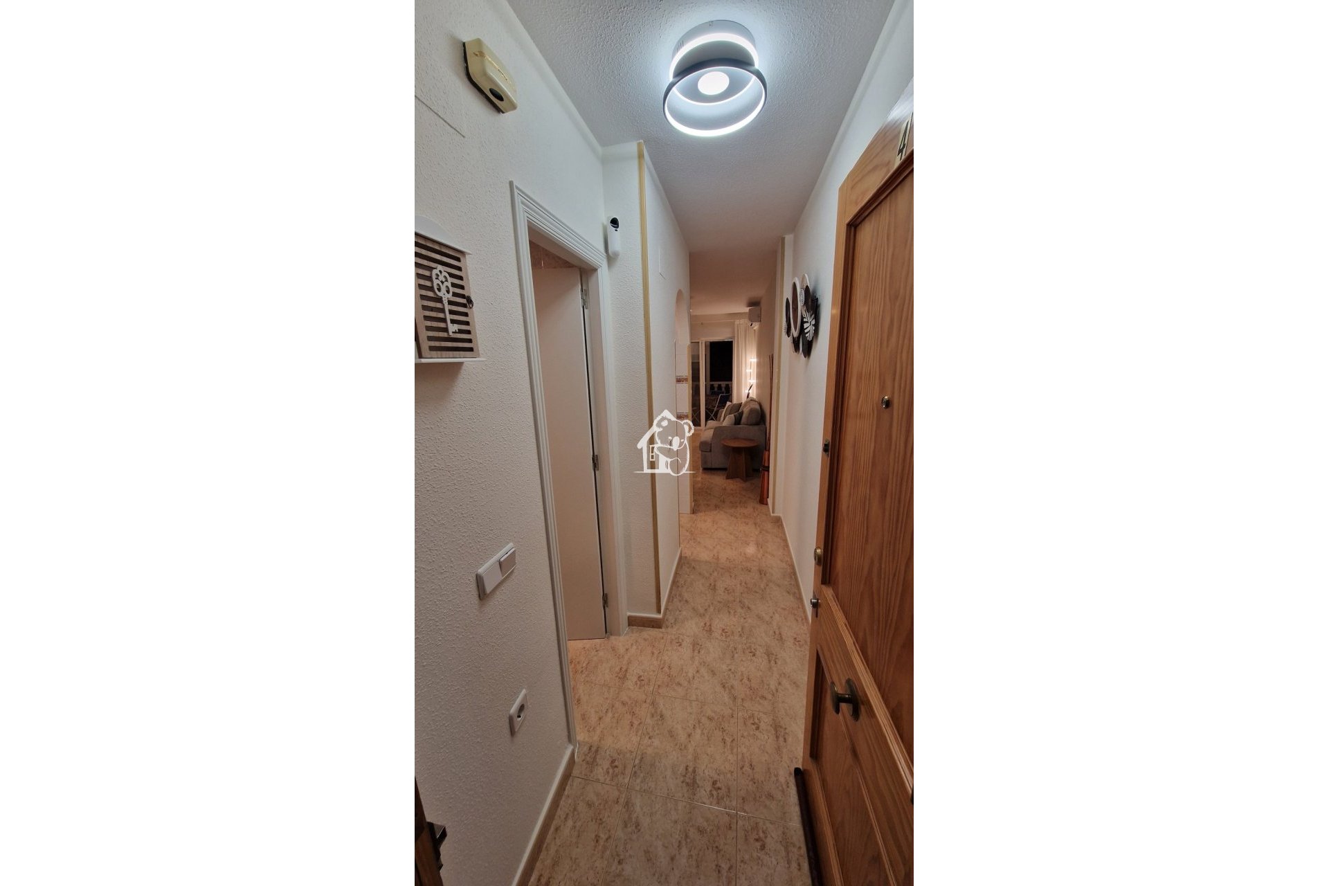 Rental - Apartment / flat - Torrevieja - Torrevieja Centro