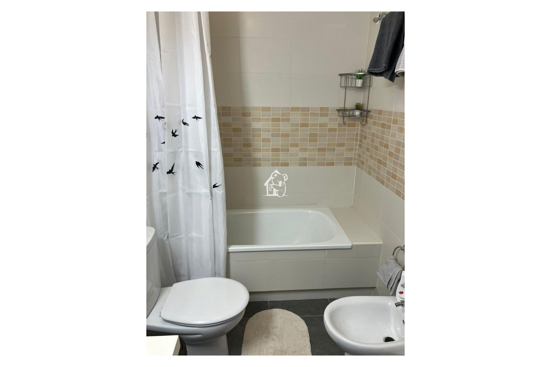 Rental - Apartment / flat - Torrevieja - Torrevieja Centro