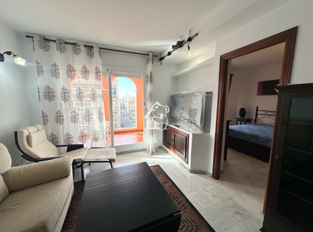 Rental - Apartment / flat - Torrevieja - Torrevieja Centro