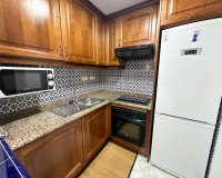 Rental - Apartment / flat - Torrevieja - Torrevieja Centro