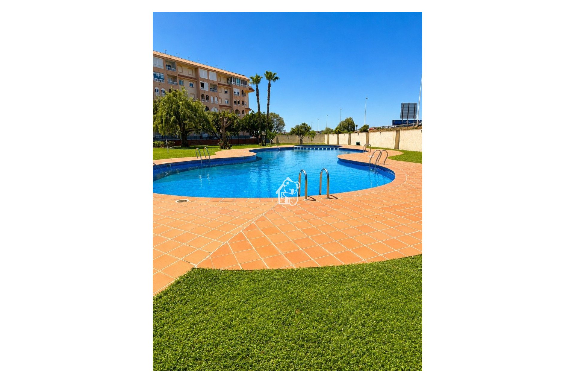 Rental - Apartment / flat - Torrevieja - Torrevieja Centro